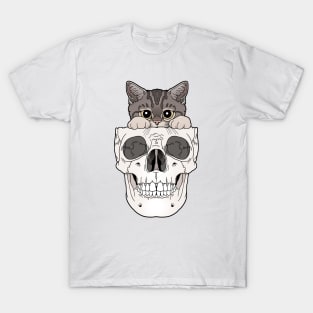 Tabby Kitty & Skull T-Shirt